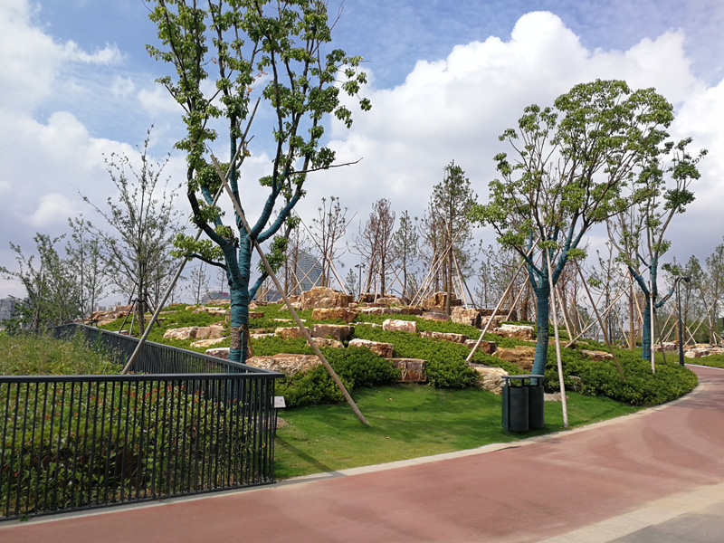 黄浦江沿岸公共绿地、码头项目